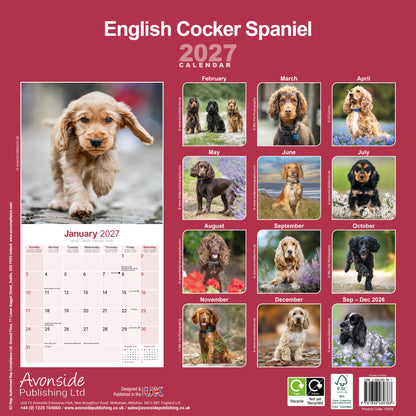 English Cocker Spaniel Wall Calendar 2027
