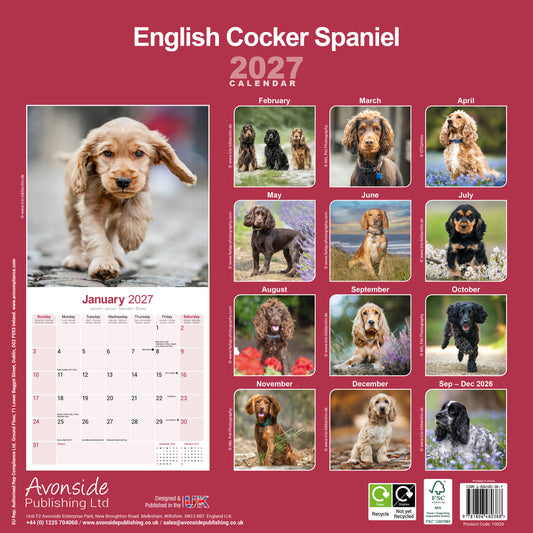 English Cocker Spaniel Wall Calendar 2027
