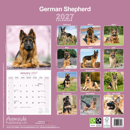 German Shepherd Wall Calendar 2027