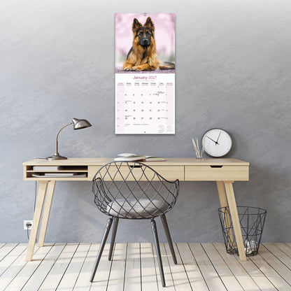 German Shepherd Wall Calendar 2027