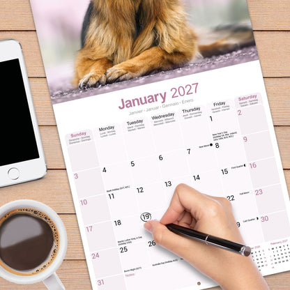 German Shepherd Wall Calendar 2027