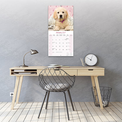 Golden Retriever Wall Calendar 2027