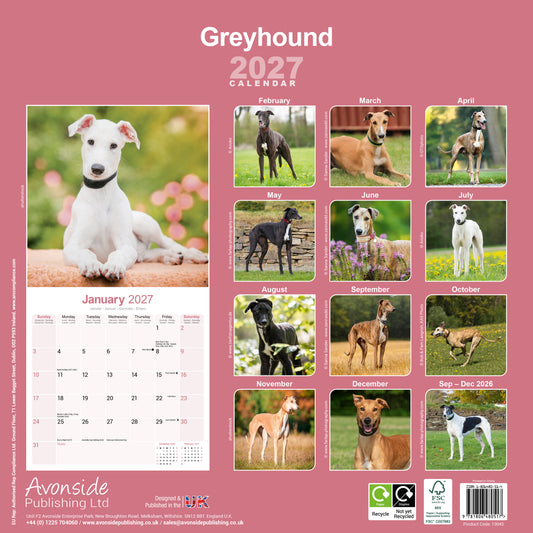 Greyhound Wall Calendar 2027