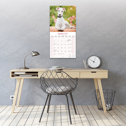 Greyhound Wall Calendar 2027