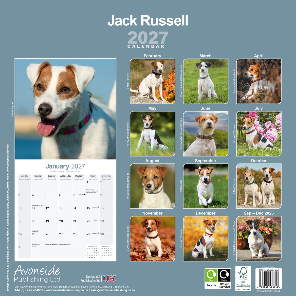 Jack Russell Wall Calendar 2027