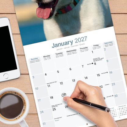 Jack Russell Wall Calendar 2027