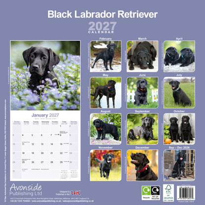 Black Labrador Retriever Wall Calendar 2027