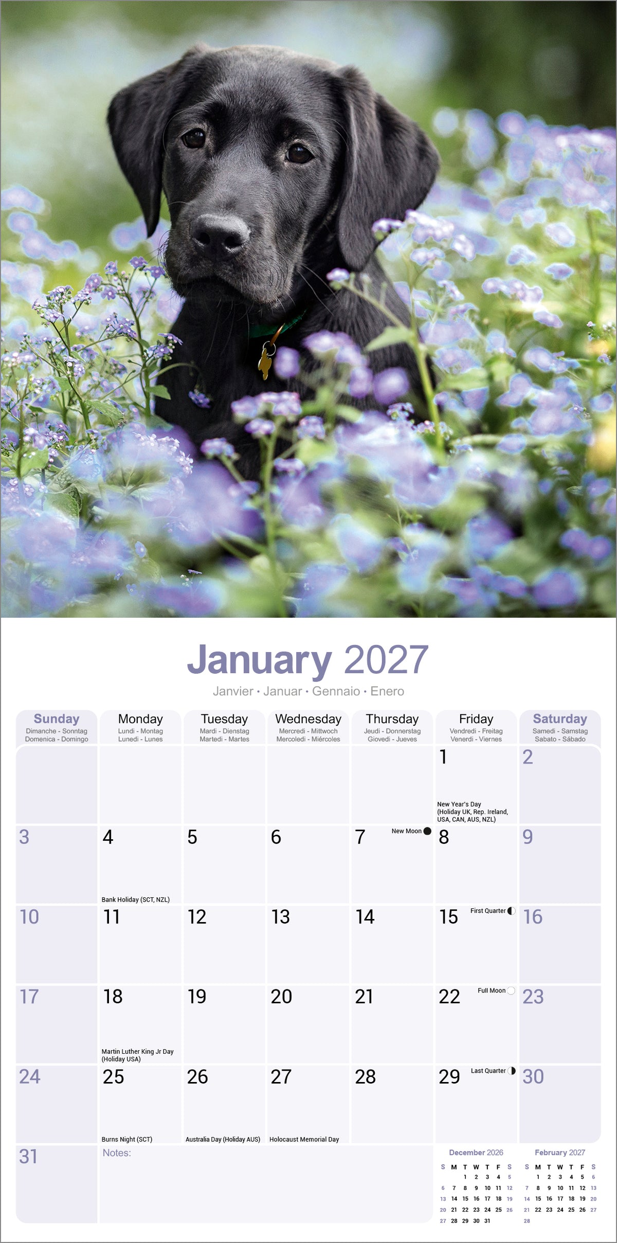 Black Labrador Retriever Wall Calendar 2027