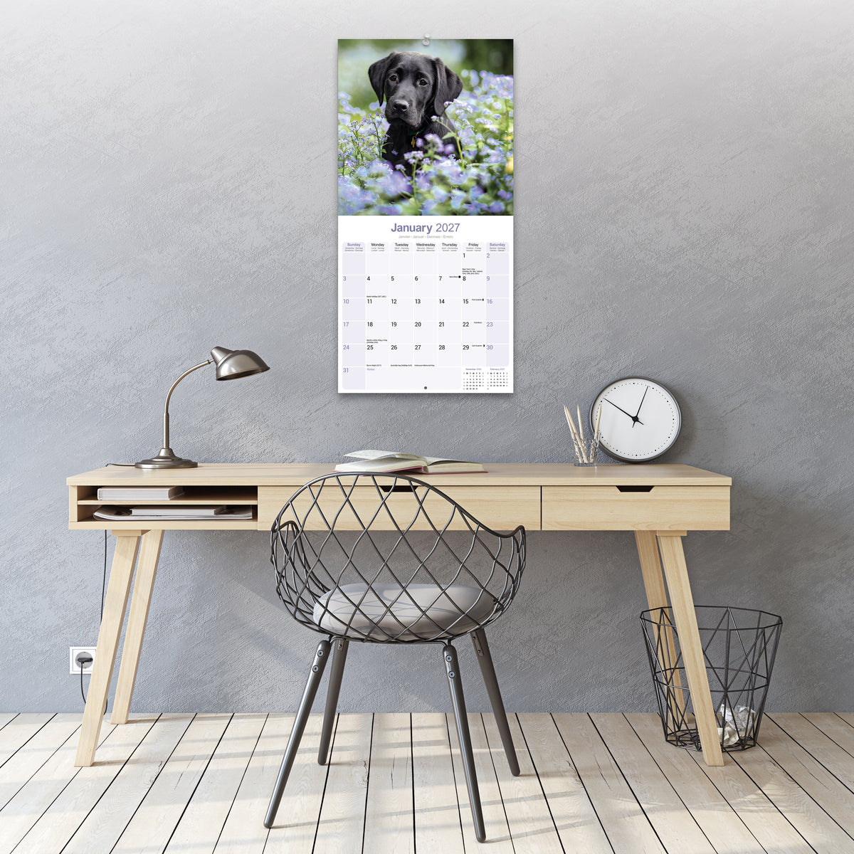Black Labrador Retriever Wall Calendar 2027