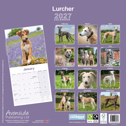 Lurcher Wall Calendar 2027