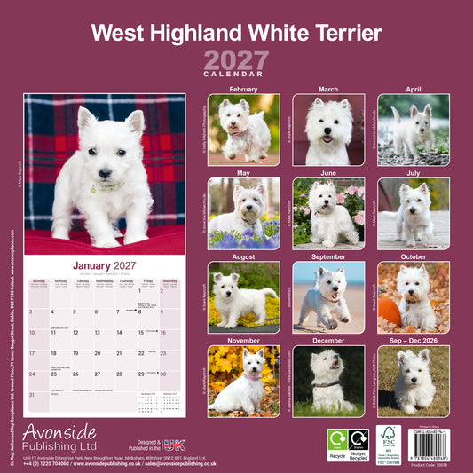 West Highland White Terrier Wall Calendar 2027