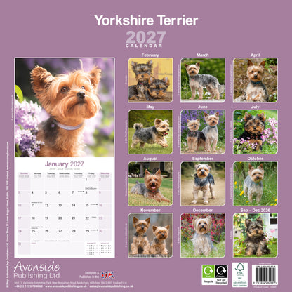 Yorkshire Terrier Wall Calendar 2027