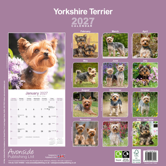 Yorkshire Terrier Wall Calendar 2027