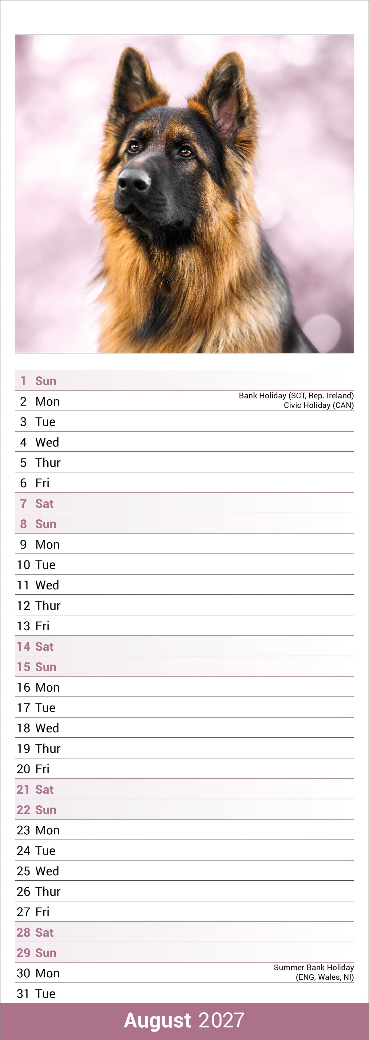 German Shepherd Slim Calendar 2027