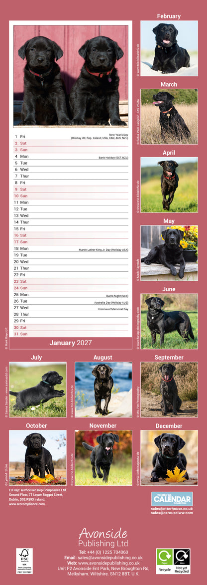 Black Labrador Retriever Slim Calendar 2027