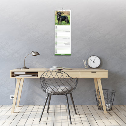 Black Labrador Retriever Slim Calendar 2027