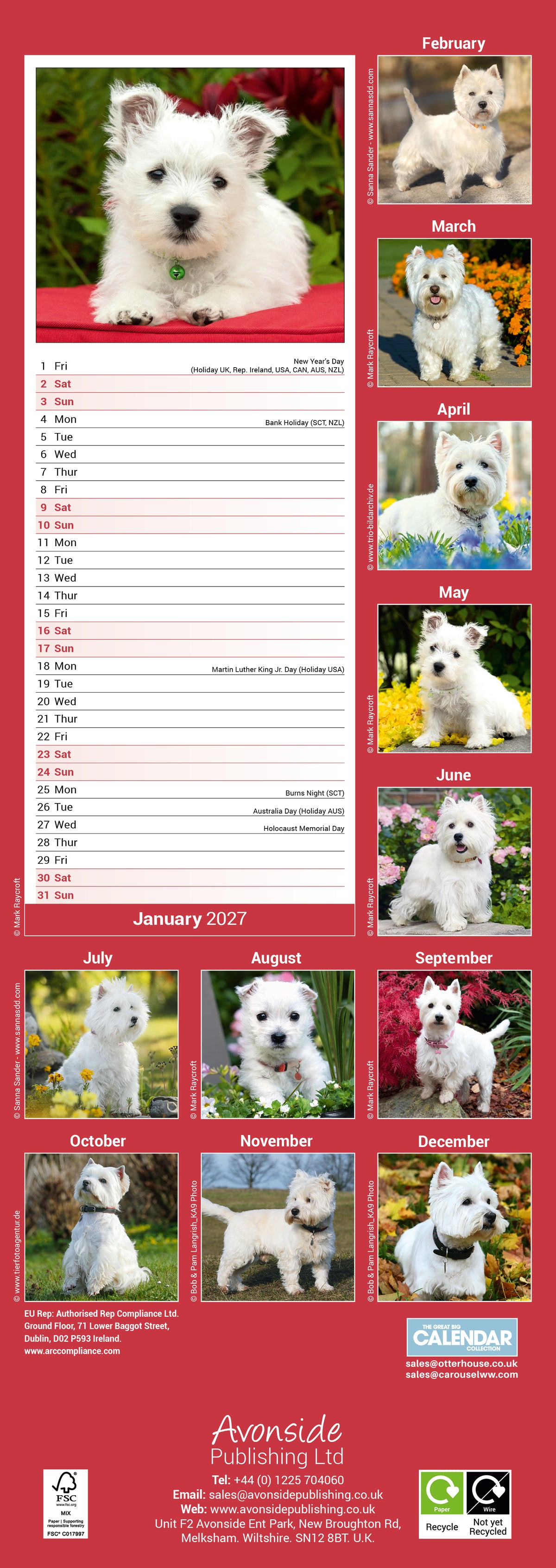West Highland White Terrier Slim Calendar 2027