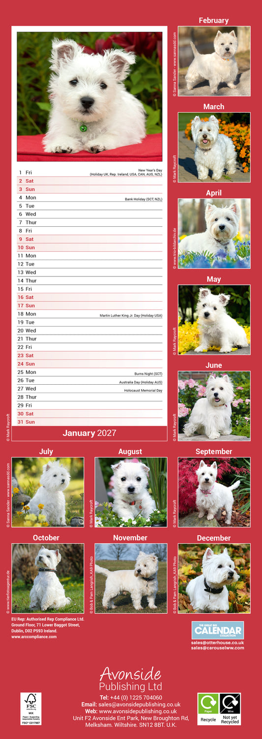 West Highland White Terrier Slim Calendar 2027
