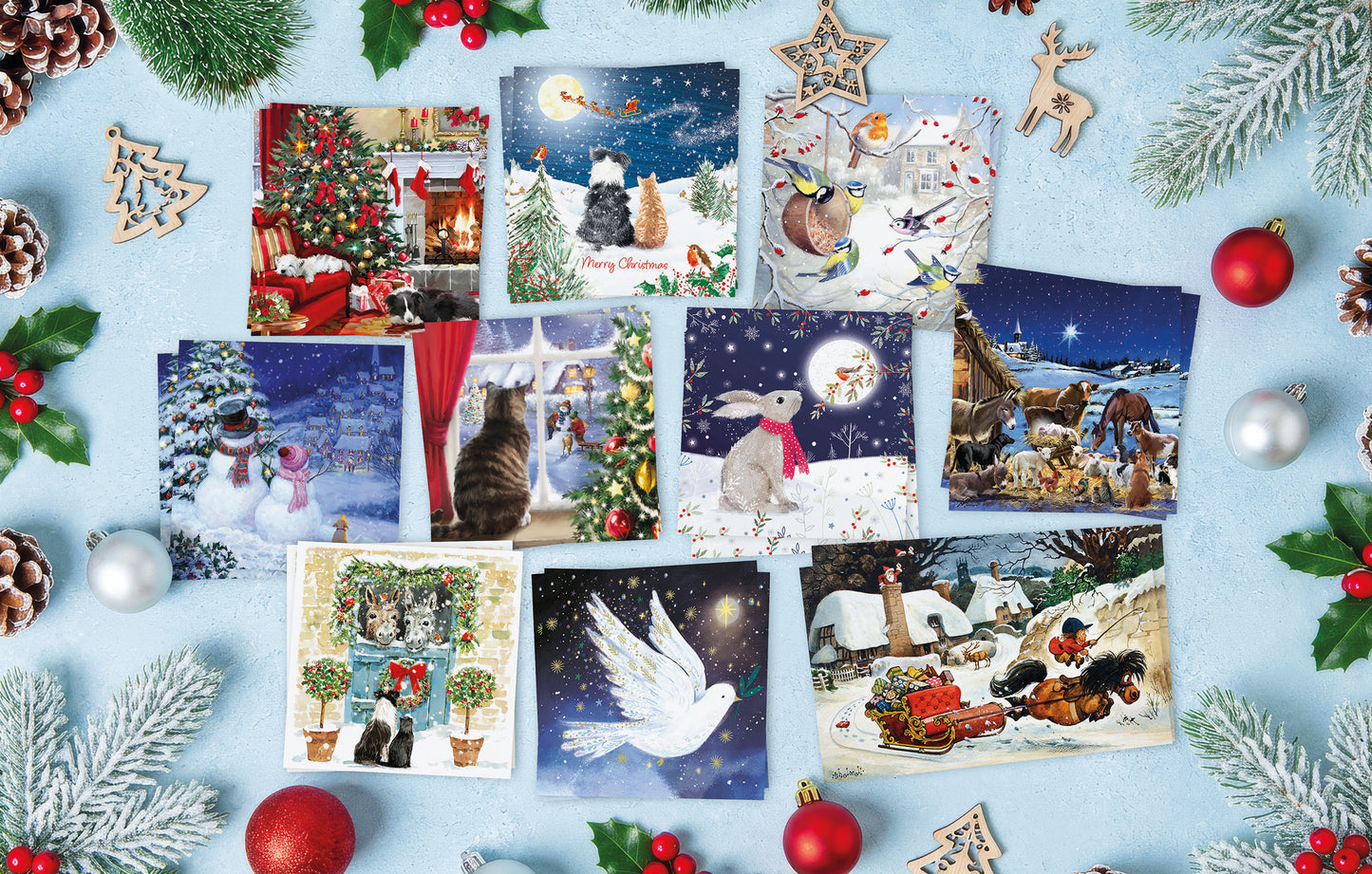 BX Special Selection Card Pack (20) 2026