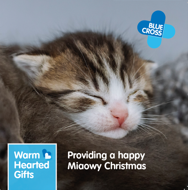 Warm Hearted Gift - Miaowy Christmas
