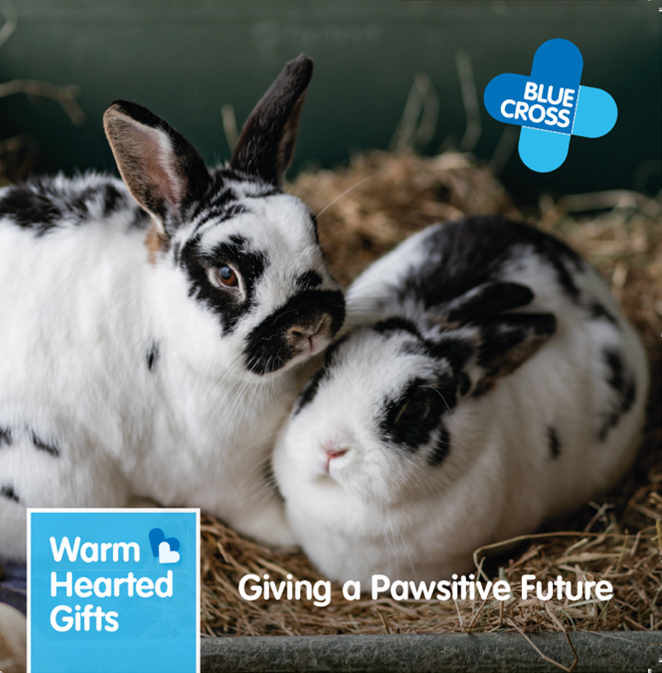 Warm Hearted Gift - Pawsitive Future