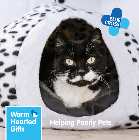 Warm Hearted Gift - Poorly Pets