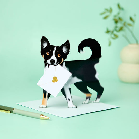 3D Card - Border Collie