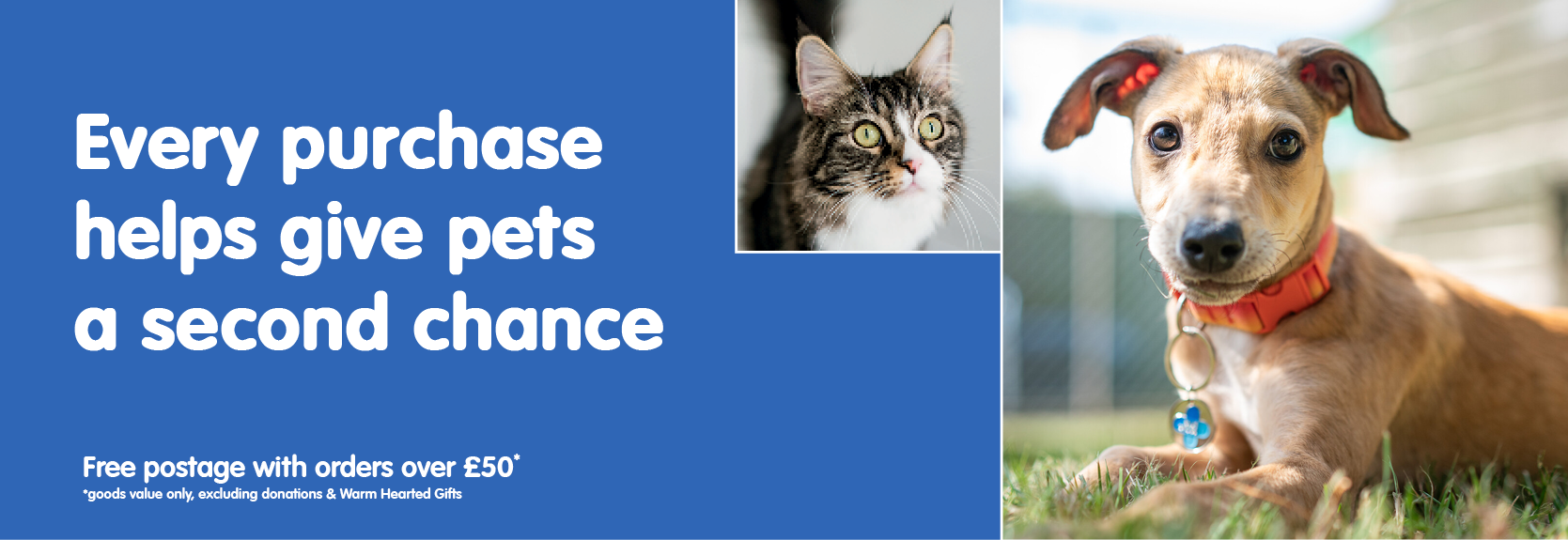 Every purchase helps give pets a second chance. A tabby cat and a tan lurcher in a red collar, beside the Blue Cross headline. Free postage with orders over 50 pounds, goods value only, excluding donations and Warm Hearted Gifts.